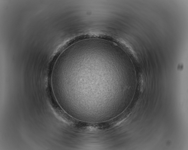 X0000090600496200707311204