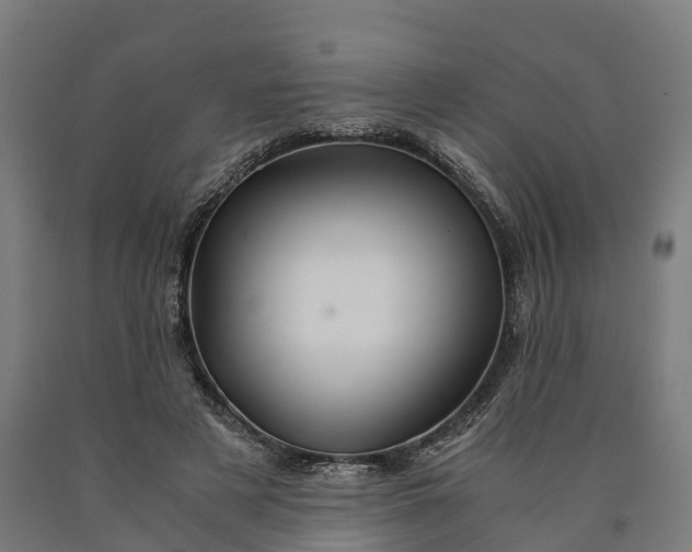 X0000090600497200707311204