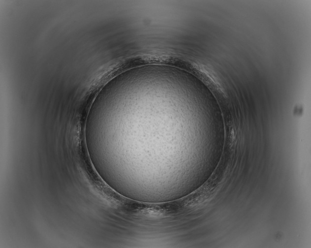 X0000090600498200707311204