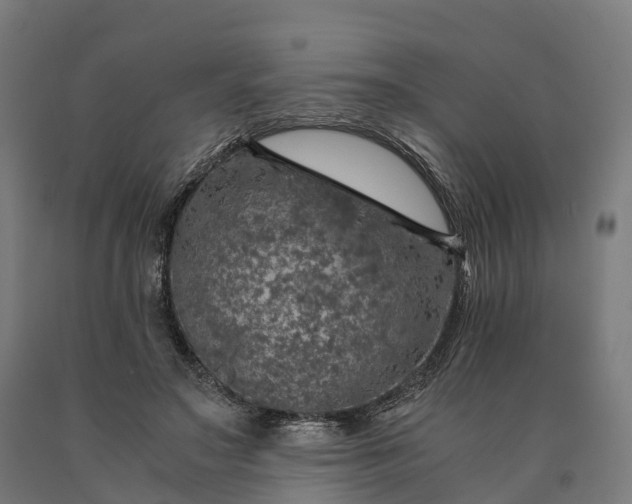 X0000090600499200707311204