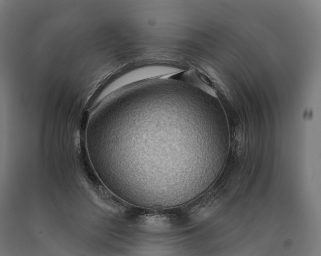 X0000090600500200707311204