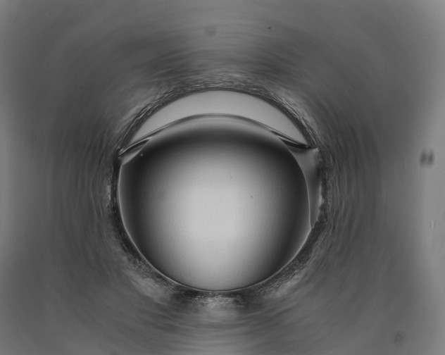 X0000090600501200707311204