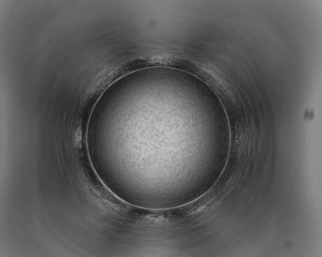 X0000090600502200707311204