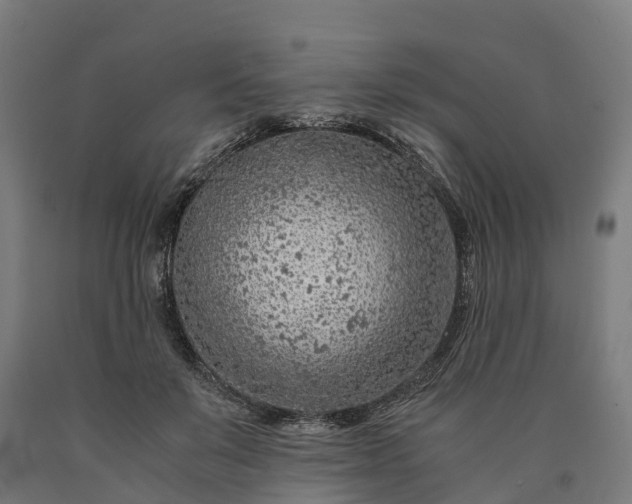 X0000090600503200707311204