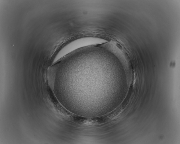 X0000090600504200707311204