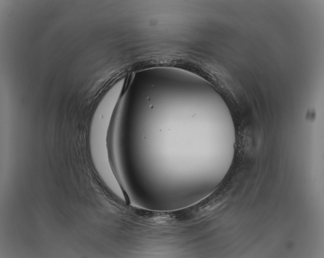 X0000090600505200707311204