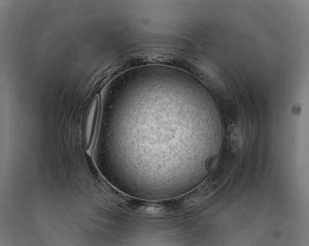 X0000090600506200707311204