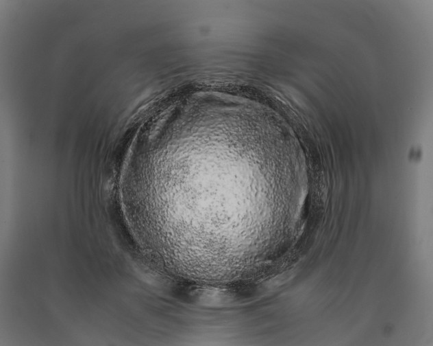 X0000090600507200707311204