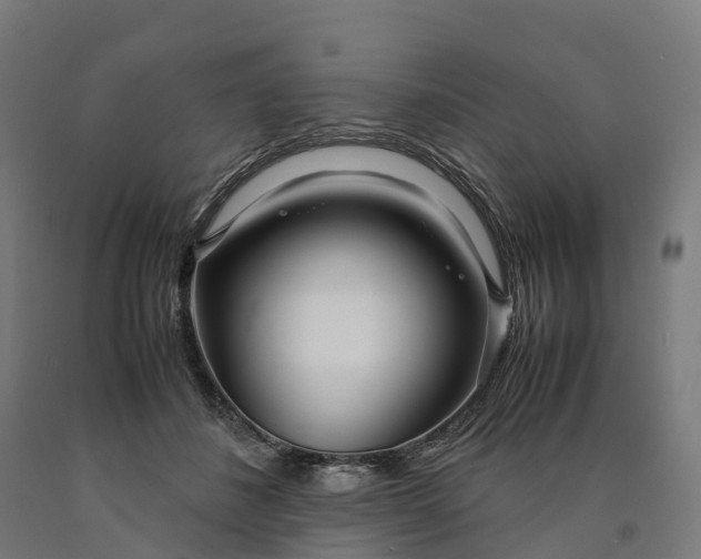 X0000090600508200707311204