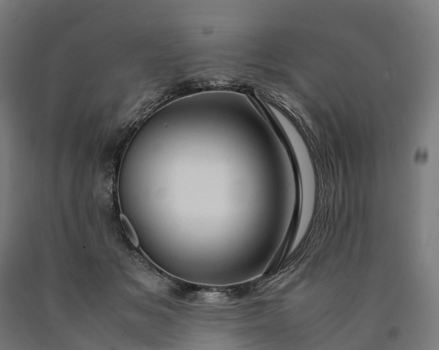 X0000090600509200707311204