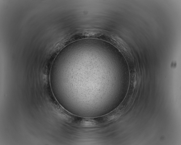 X0000090600510200707311204