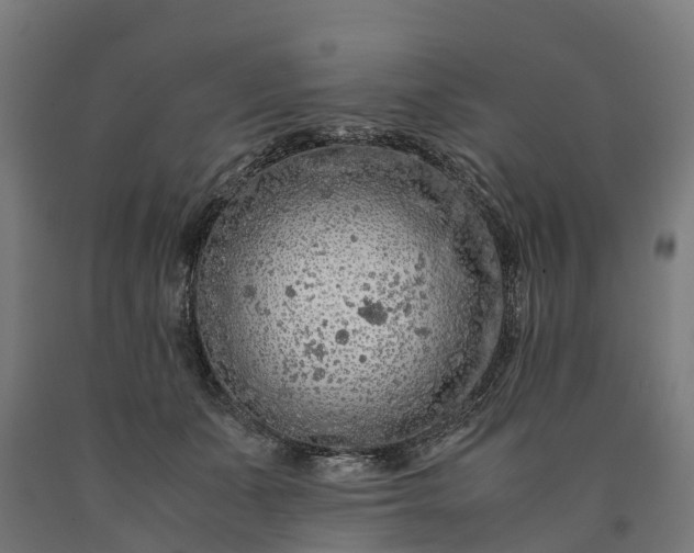 X0000090600511200707311204