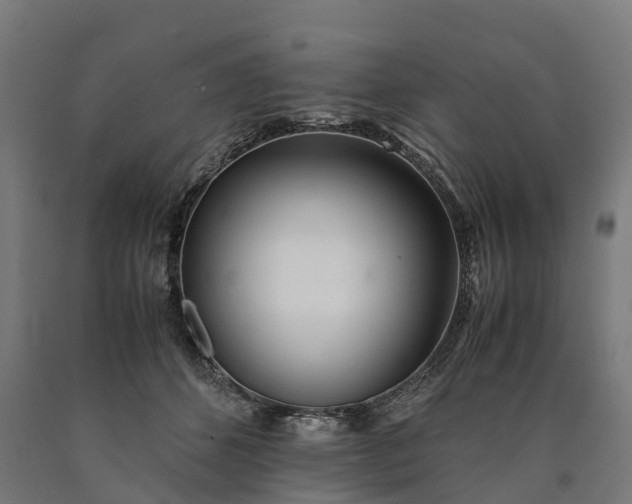 X0000090600512200707311204