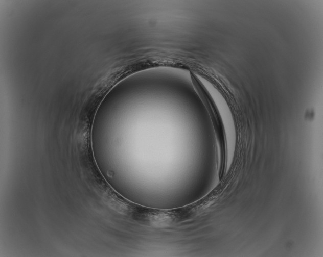 X0000090600513200707311204