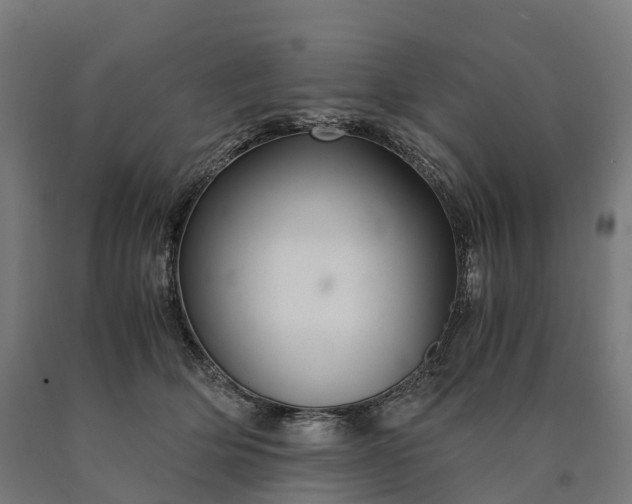 X0000090600514200707311204