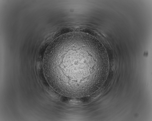 X0000090600515200707311204