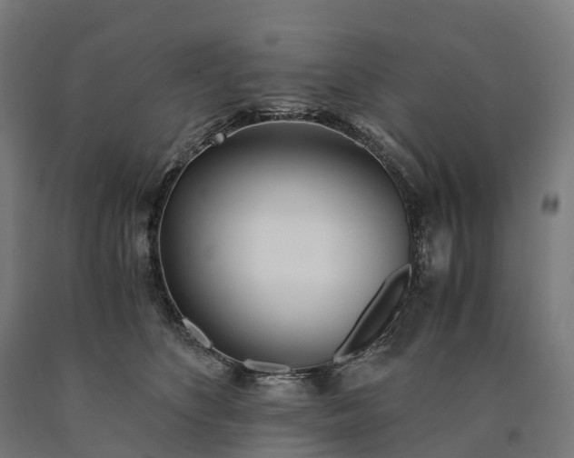 X0000090600516200707311204