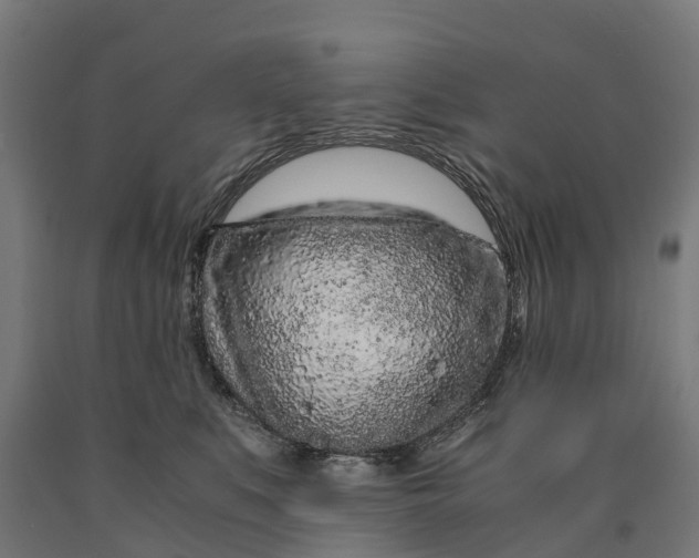 X0000090600519200707311204