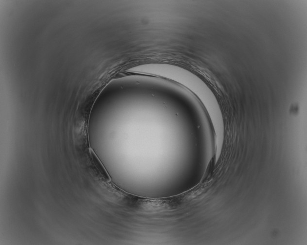 X0000090600521200707311204