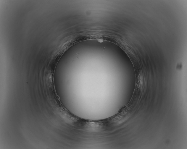 X0000090600522200707311204