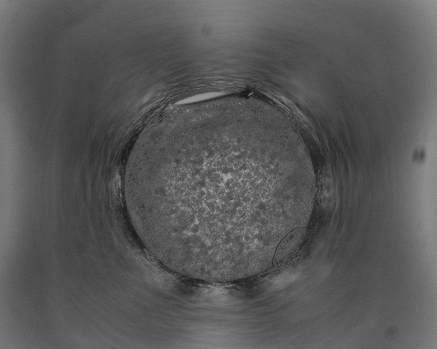 X0000090600523200707311204