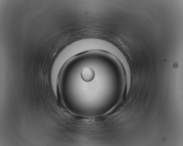 X0000090600524200707311204