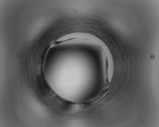 X0000090600525200707311204