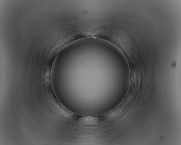 X0000090600526200707311204