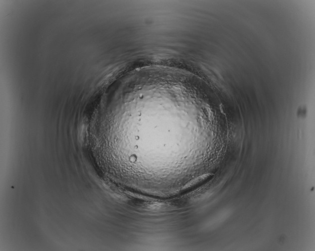 X0000090600527200707311204