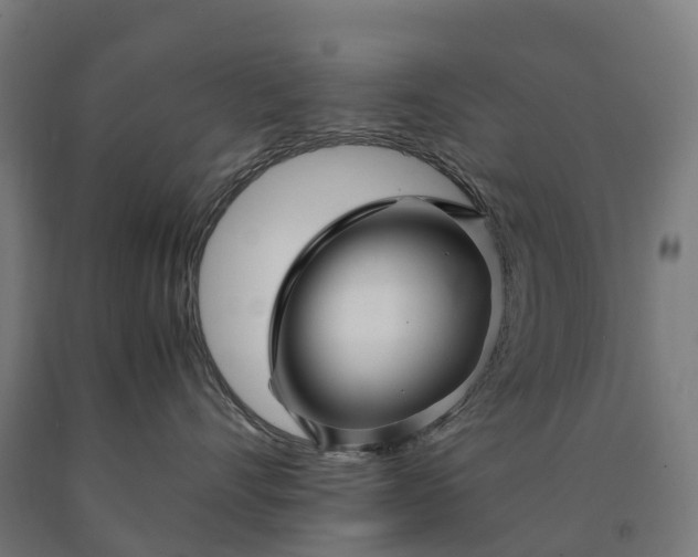 X0000090600528200707311204