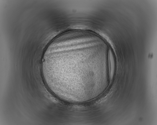 X0000090600529200707311203