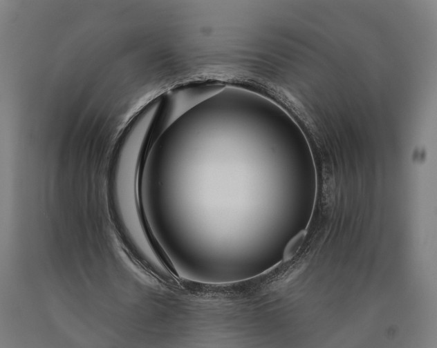 X0000090600530200707311203