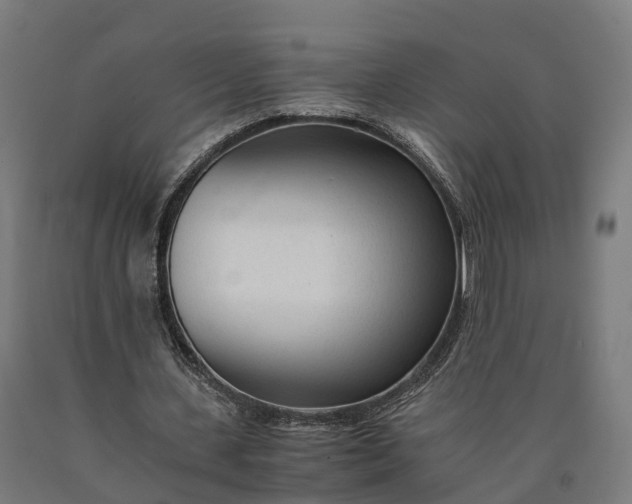 X0000090600531200707311203