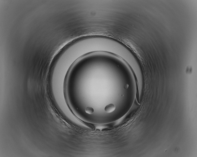 X0000090600532200707311203