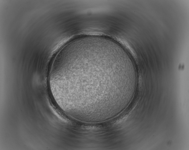 X0000090600533200707311203