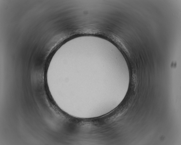 X0000090600534200707311203