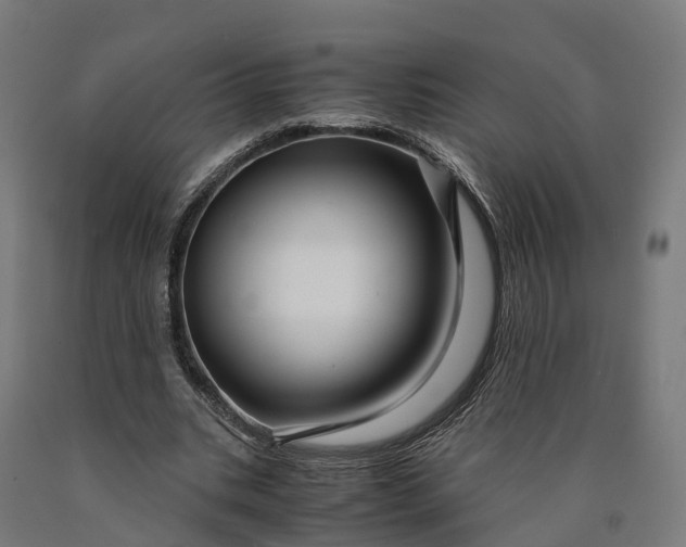 X0000090600535200707311203