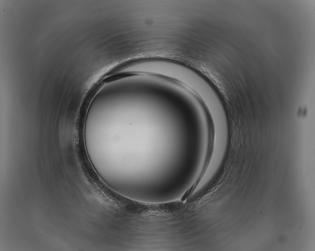 X0000090600536200707311203