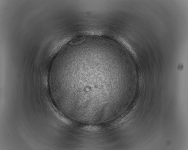 X0000090600537200707311203