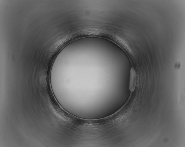 X0000090600538200707311203