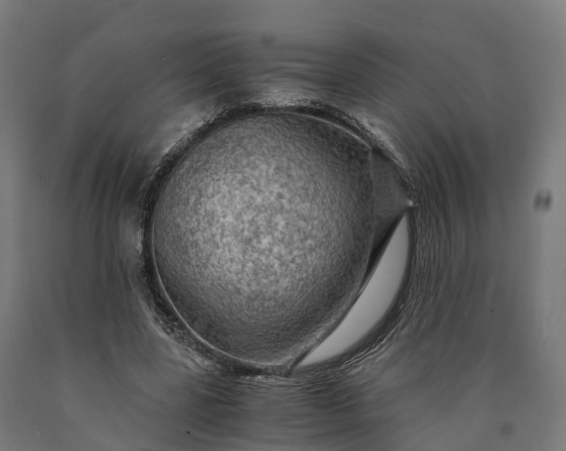 X0000090600539200707311203