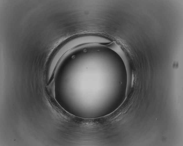 X0000090600540200707311203