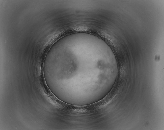 X0000090600541200707311203