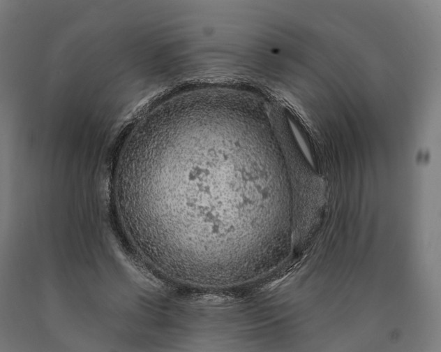 X0000090600542200707311203