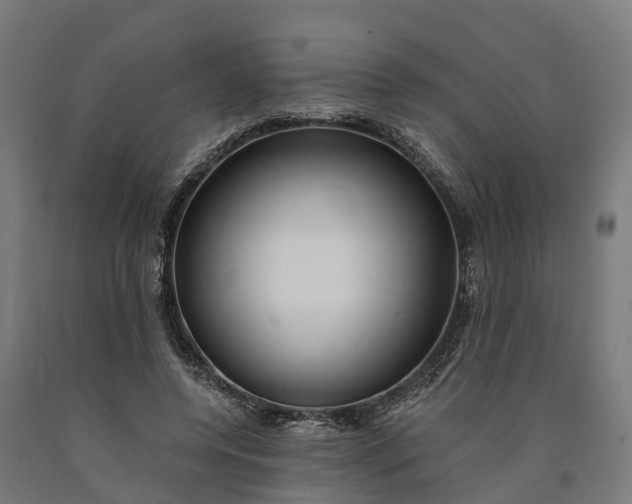 X0000090600544200707311203