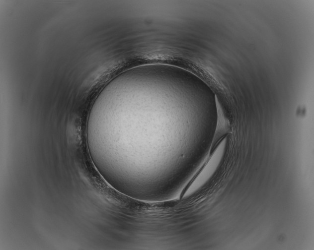 X0000090600547200707311203