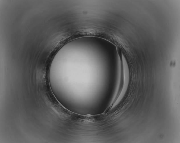 X0000090600548200707311203