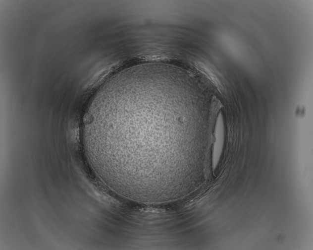 X0000090600549200707311203