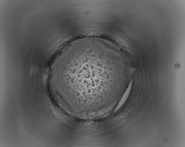 X0000090600550200707311203