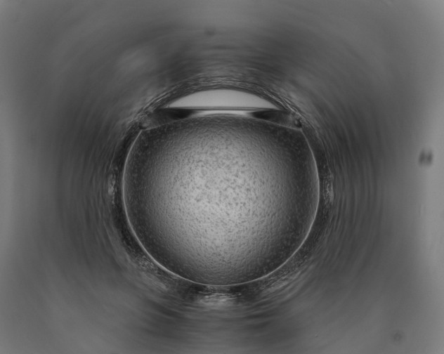 X0000090600551200707311203